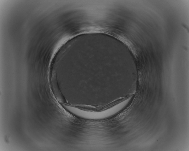 X0000097821472200803281110