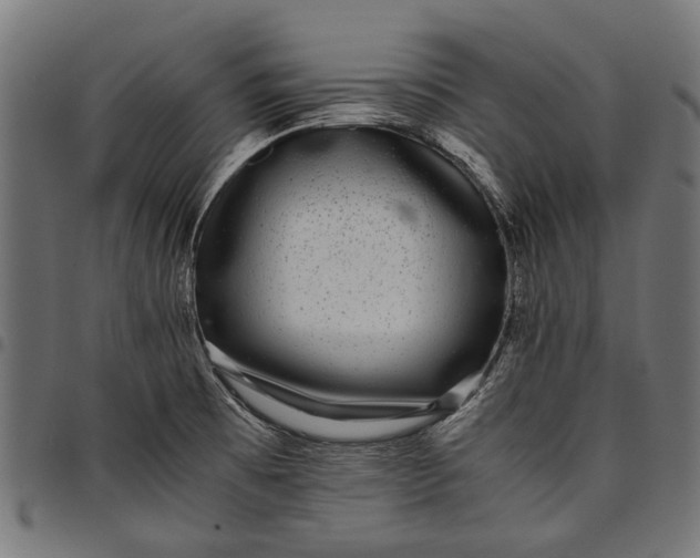 X0000097821473200803281110