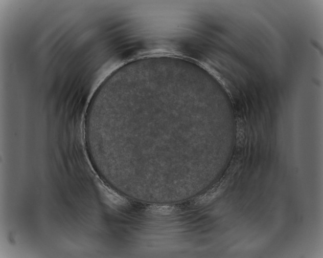 X0000097821474200803281110