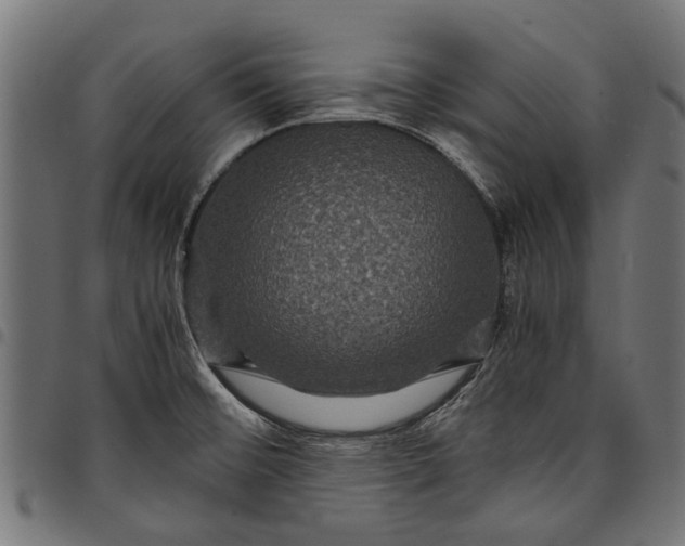 X0000097821476200803281110