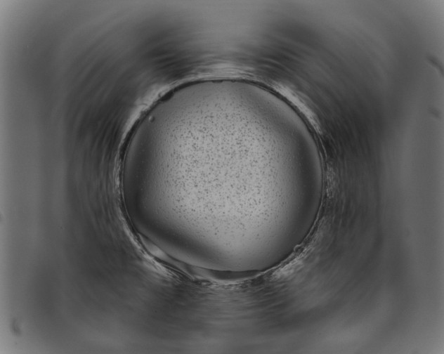 X0000097821477200803281110