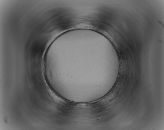 X0000097821478200803281110