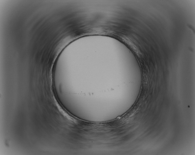 X0000097821479200803281110