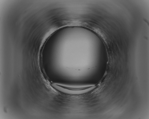 X0000097821480200803281110