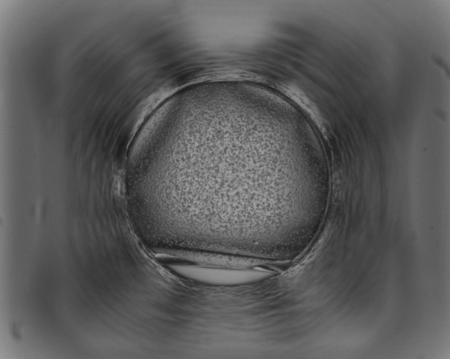 X0000097821481200803281110