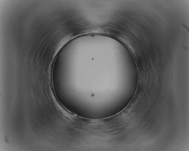 X0000097821483200803281110