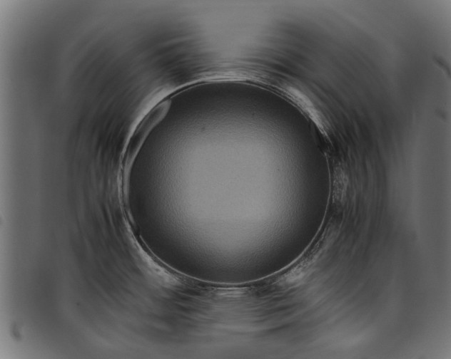 X0000097821484200803281110