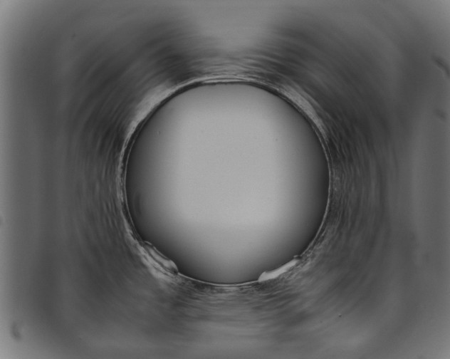 X0000097821485200803281110