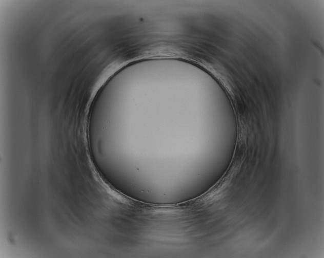 X0000097821486200803281110