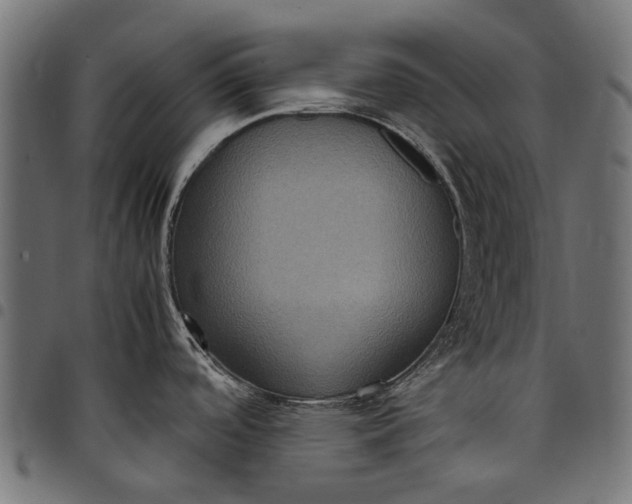 X0000097821488200803281110