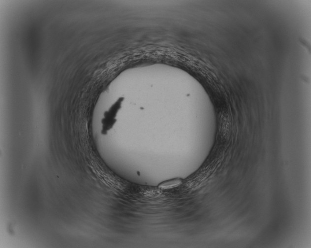 X0000097821489200803281109