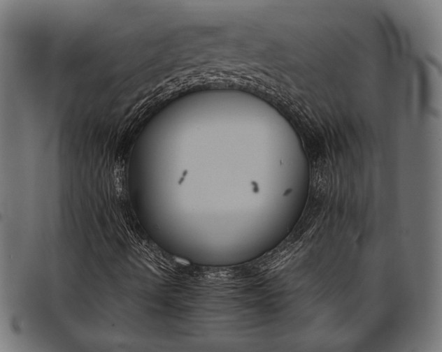 X0000097821490200803281109