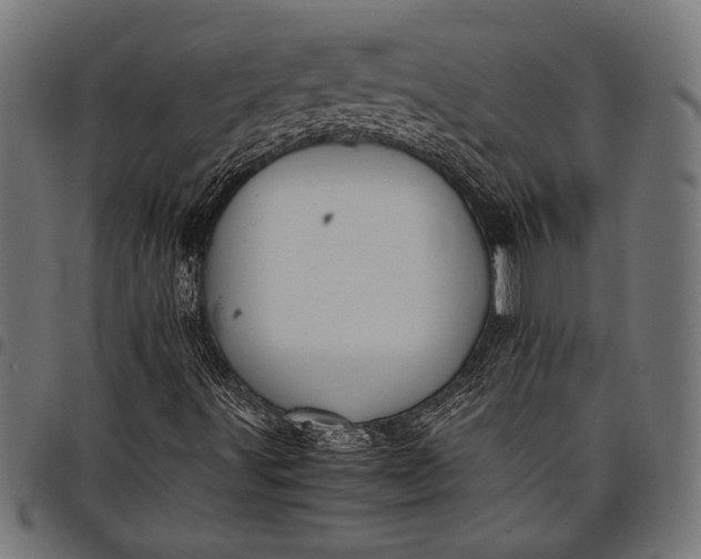 X0000097821491200803281109