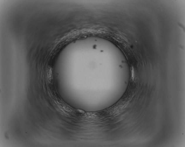 X0000097821492200803281109