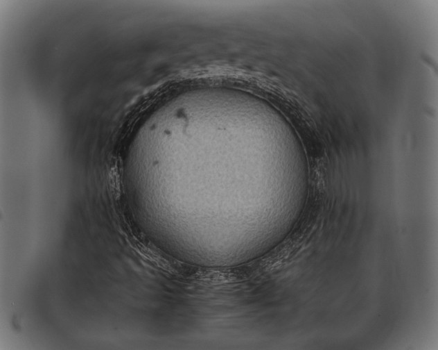 X0000097821493200803281109