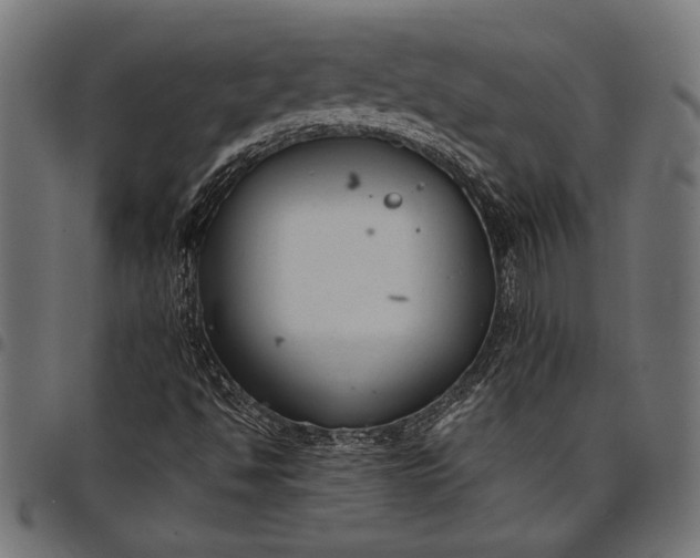 X0000097821494200803281109