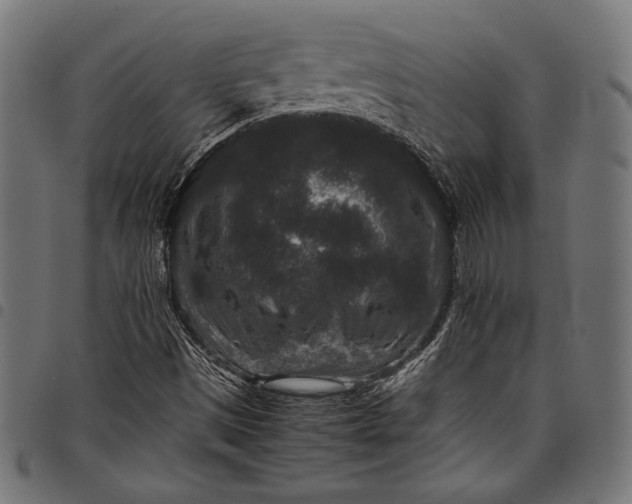 X0000097821497200803281109