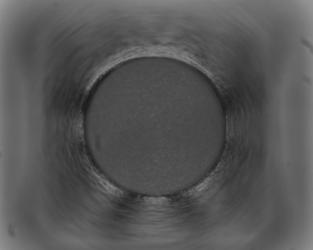 X0000097821498200803281109