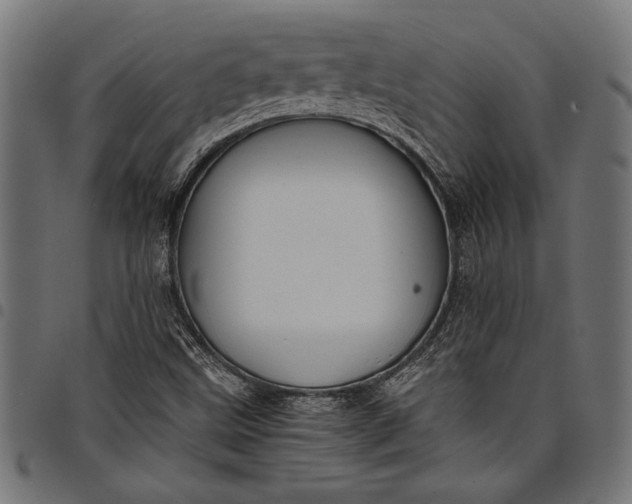 X0000097821499200803281109