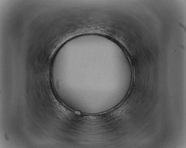 X0000097821500200803281109