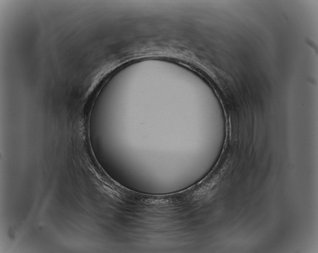 X0000097821501200803281109