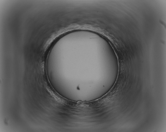 X0000097821503200803281109