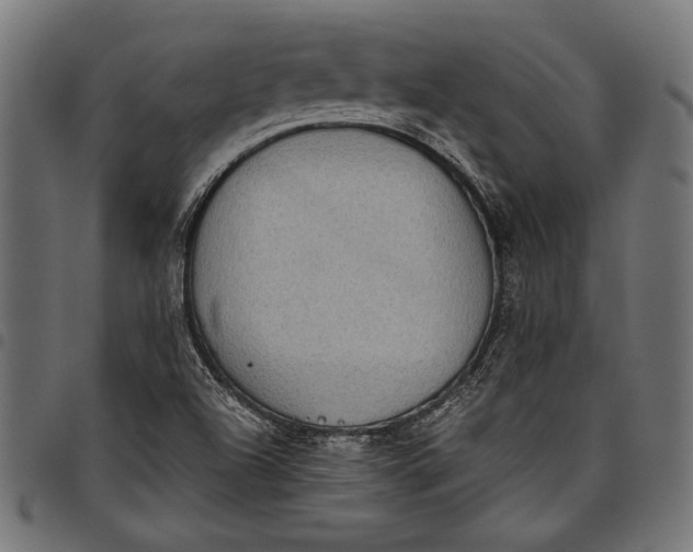 X0000097821504200803281109