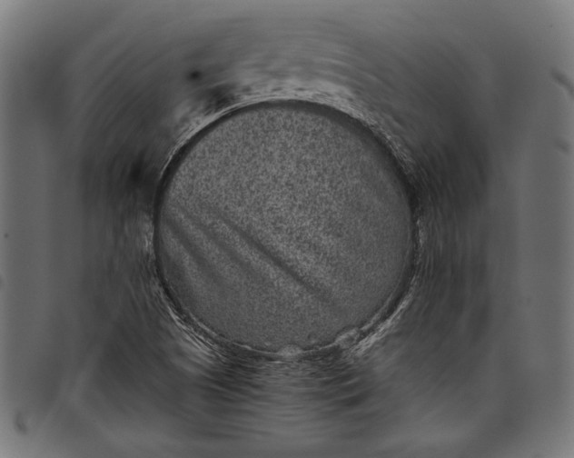 X0000097821505200803281109