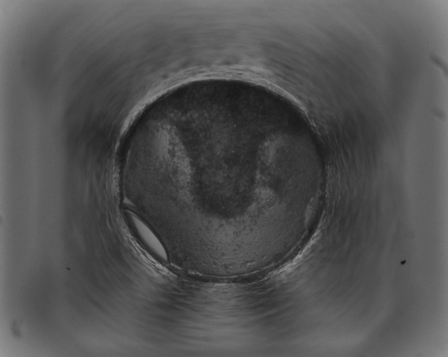 X0000097821506200803281110