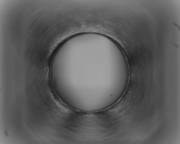 X0000097821507200803281110