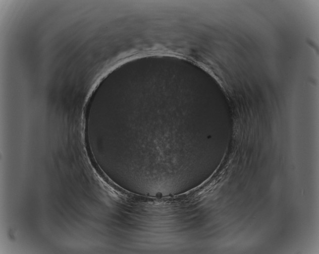 X0000097821508200803281110