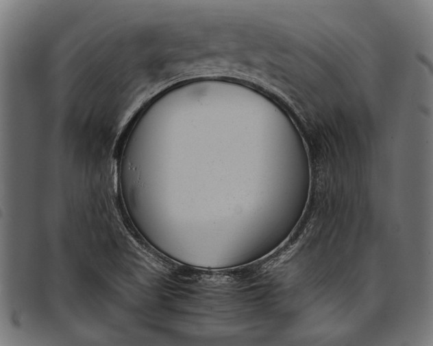 X0000097821509200803281110