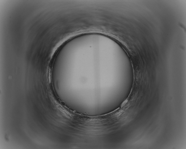 X0000097821510200803281110