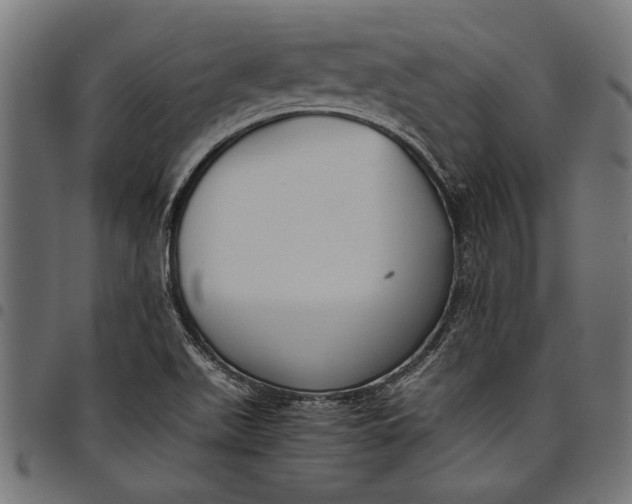 X0000097821511200803281110