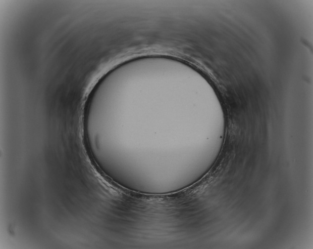 X0000097821512200803281110