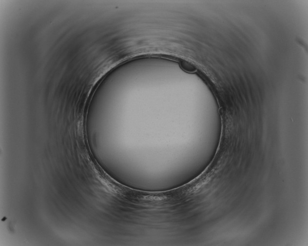 X0000097821513200803281110