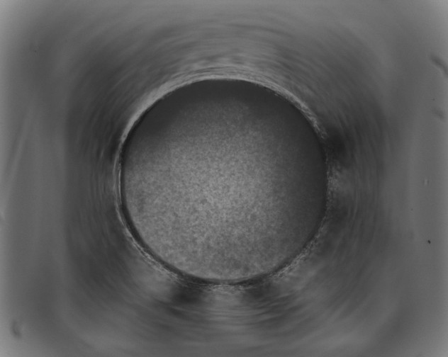 X0000097821514200803281110