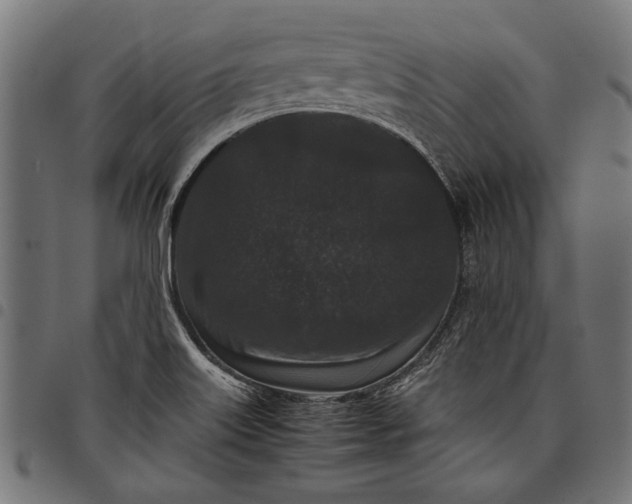 X0000097821515200803281110