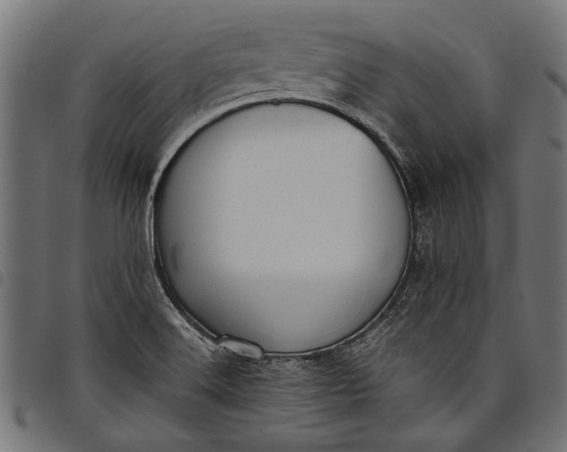 X0000097821516200803281110