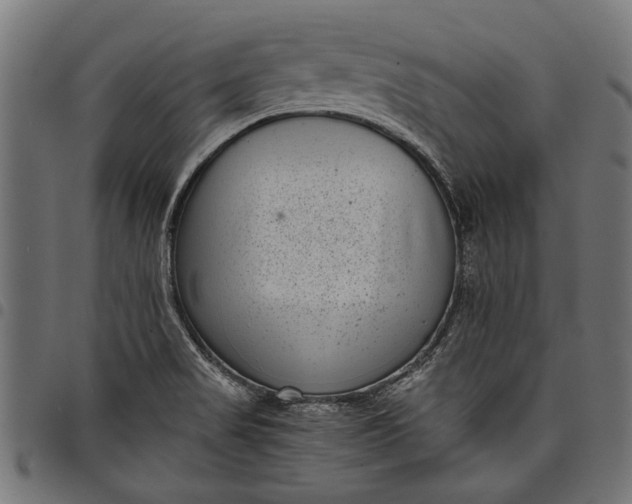 X0000097821517200803281110