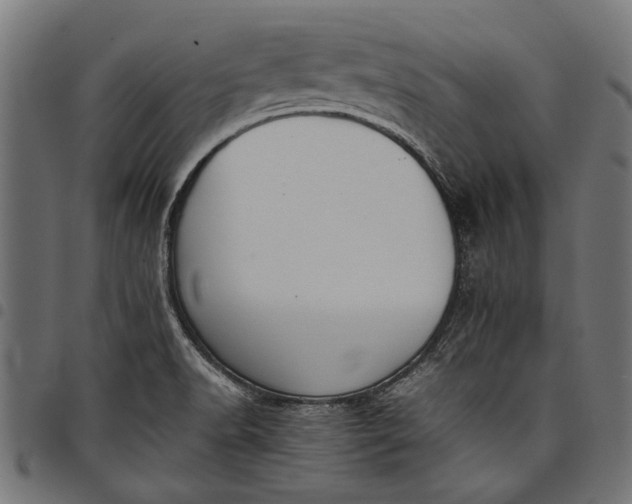 X0000097821518200803281110