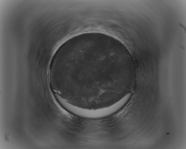 X0000097821519200803281110