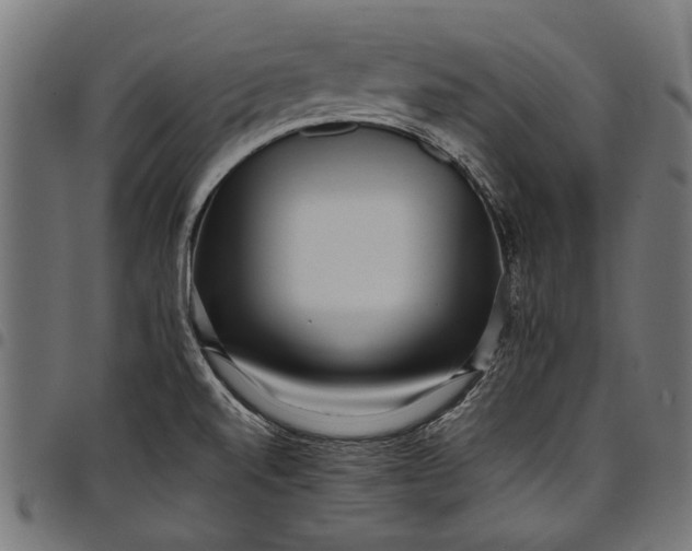 X0000097821520200803281110