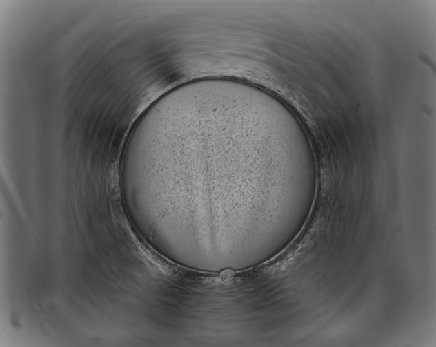 X0000097821521200803281110