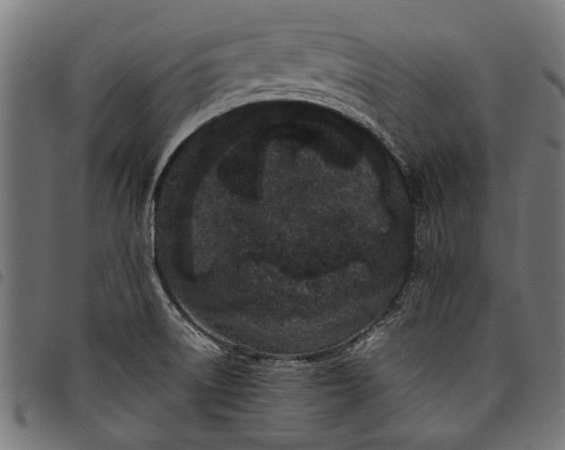 X0000097821522200803281110