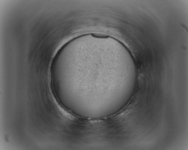 X0000097821523200803281110