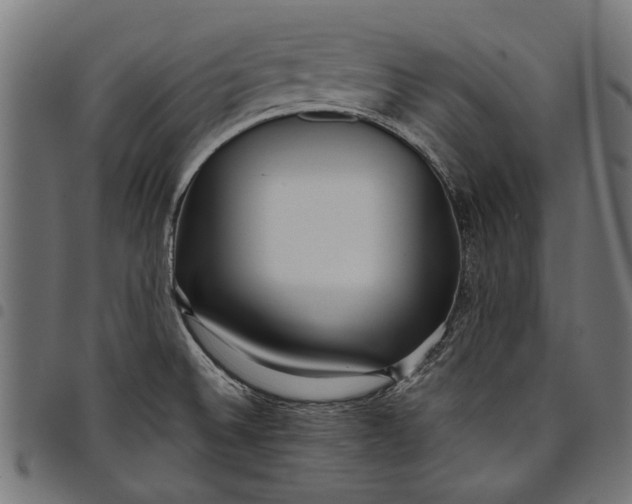 X0000097821524200803281110