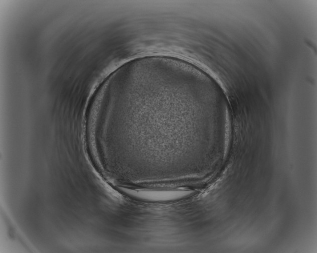 X0000097821525200803281110