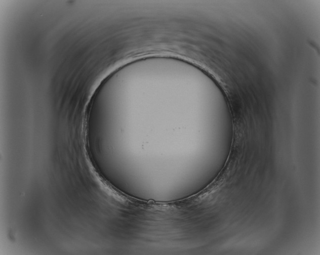 X0000097821526200803281110