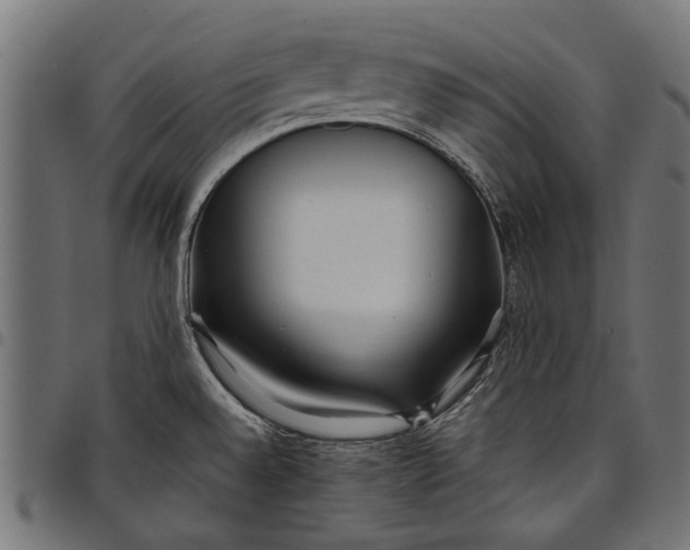 X0000097821528200803281110